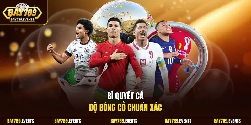 Bí quyết cá độ bóng cỏ chuẩn xác 